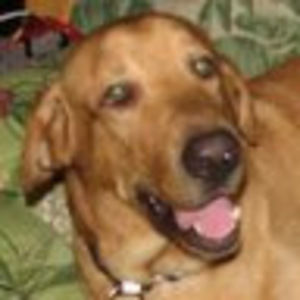 Meet your Posher, Hilmar